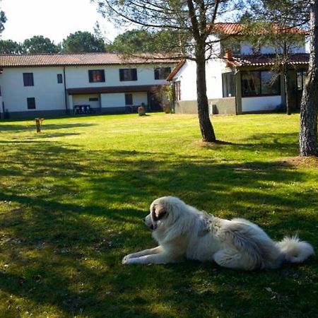 Artenatura Beb Terranuova Bracciolini Luaran gambar