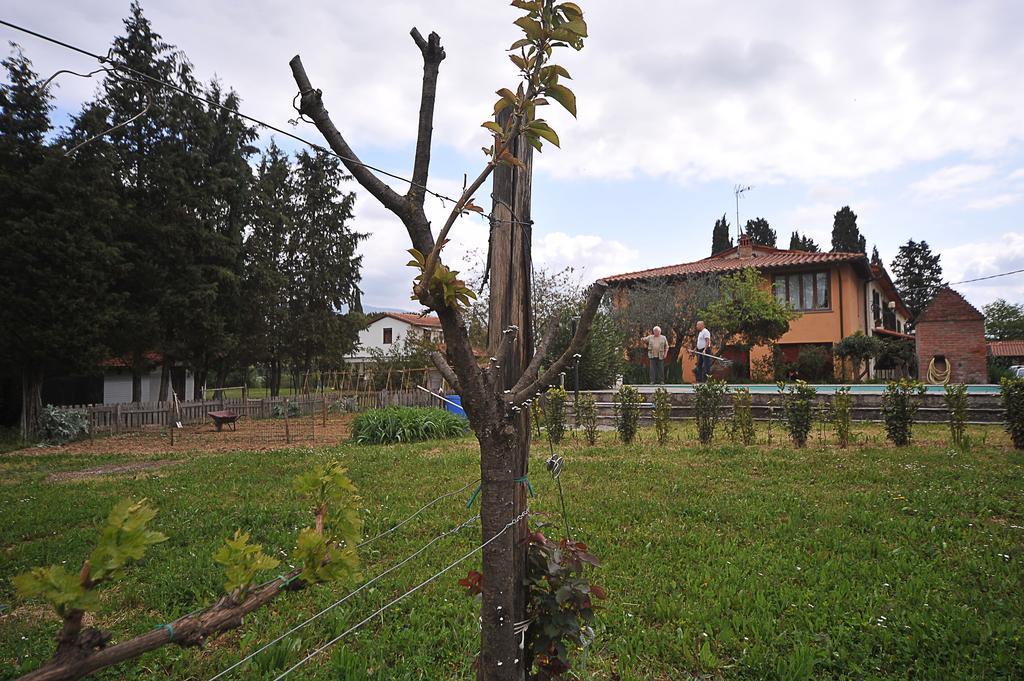 Artenatura Beb Terranuova Bracciolini Luaran gambar