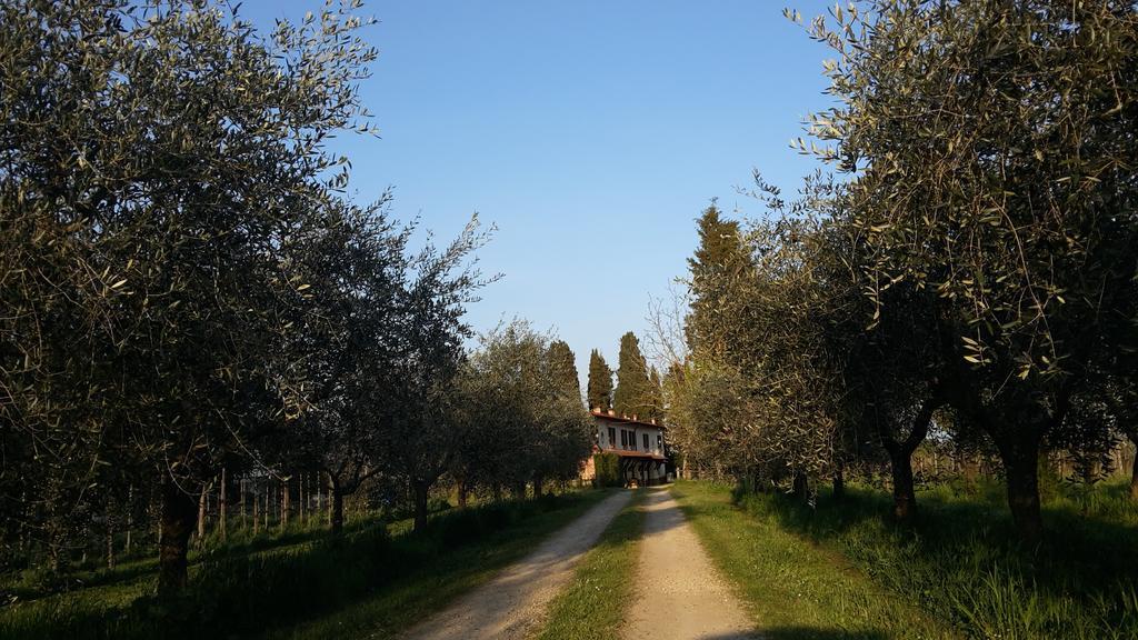 Artenatura Beb Terranuova Bracciolini Luaran gambar