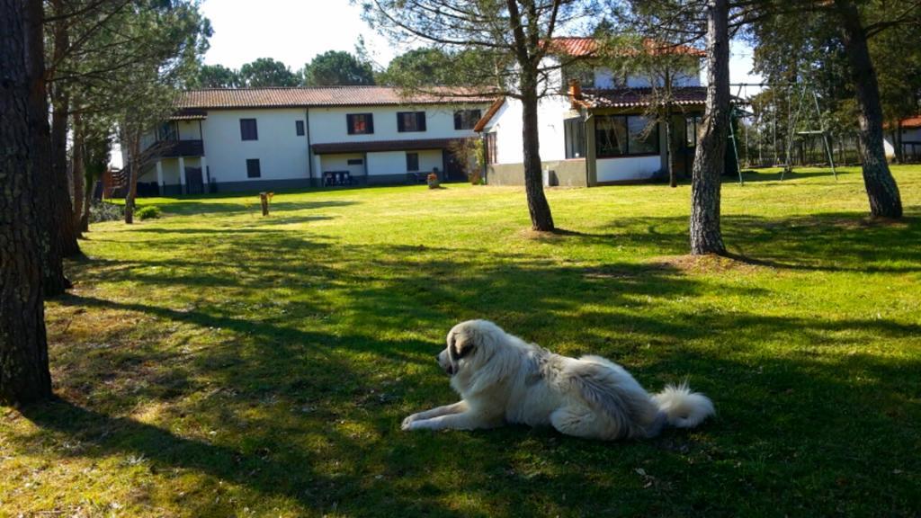 Artenatura Beb Terranuova Bracciolini Luaran gambar
