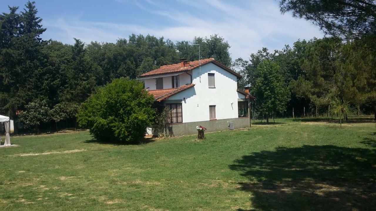 Artenatura Beb Terranuova Bracciolini Luaran gambar